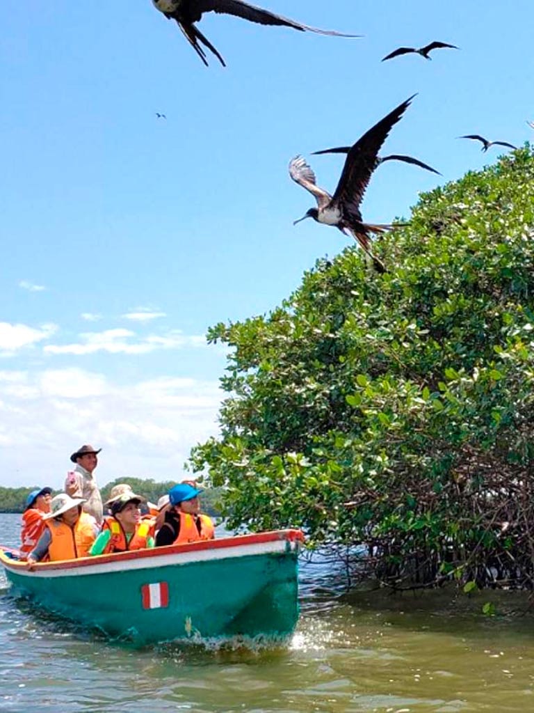 Tum-01 : Mangrove Marvels - Puerto Pizarro and Islands Tour - imagen #9