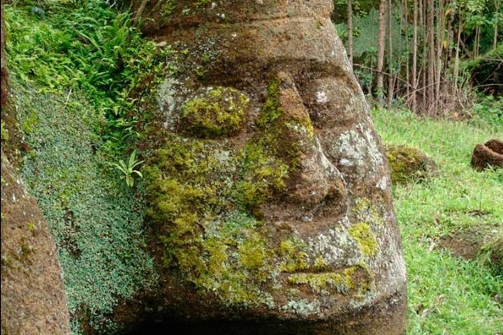 Excursión de día completo a Floreana - imagen #2