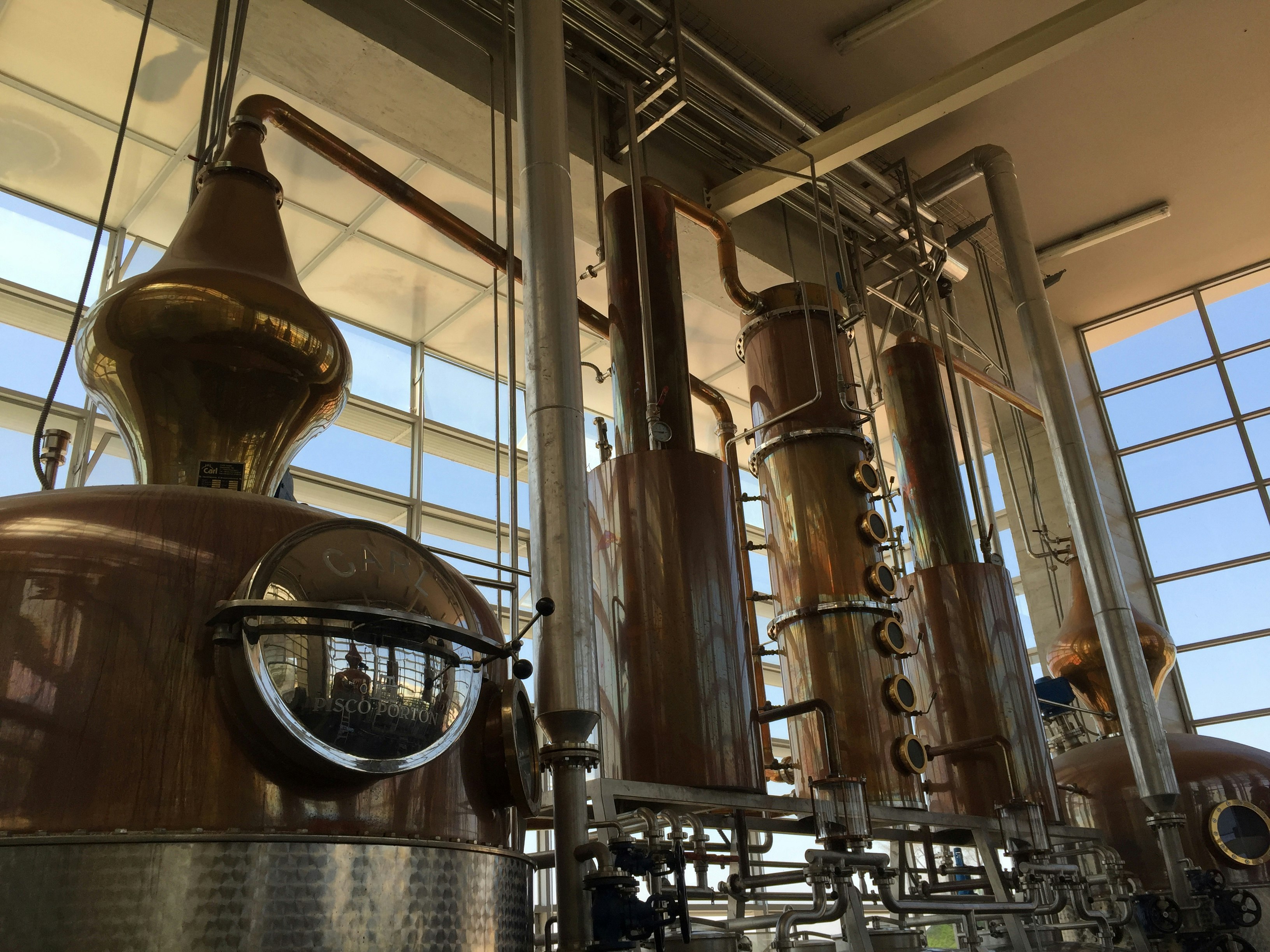 2-Day Pisco Tasting Journey in Ica with Viñas Queirolo Hotel Stay From Lima - imagen #15