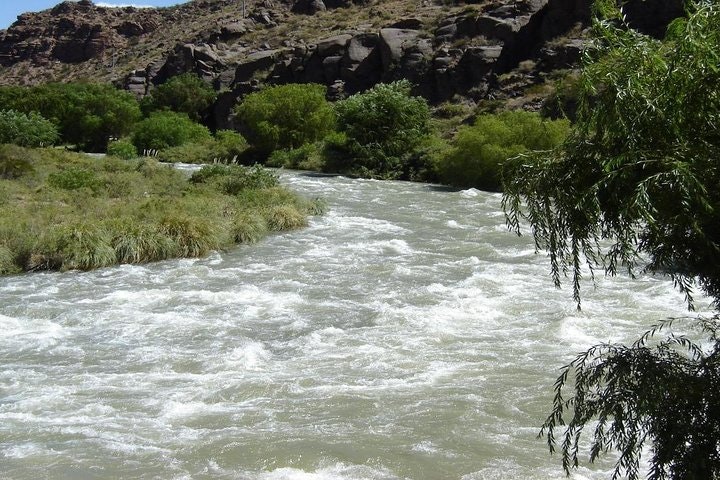 Cañon del Atuel Day Trip from Mendoza - imagen #7