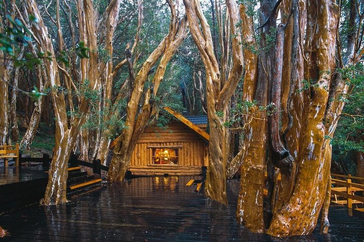 5-Day Adventure Trip in Bariloche - imagen #6