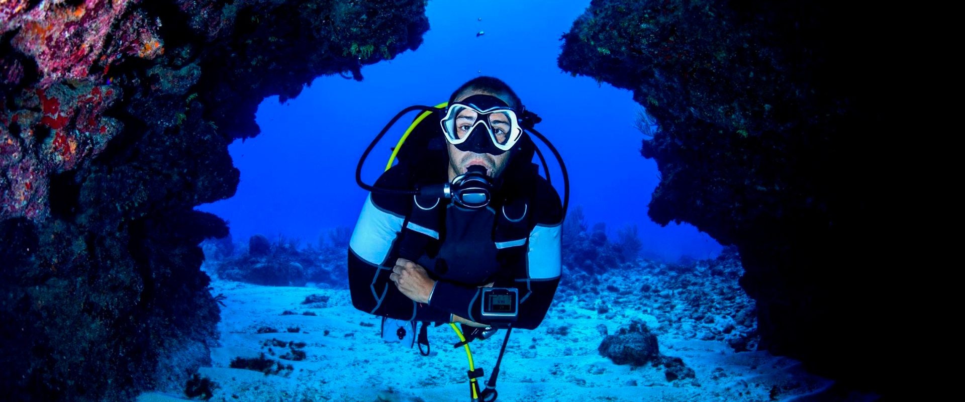 Par-06 : Scuba Diving in Paracas - Dive Discovery - imagen #11