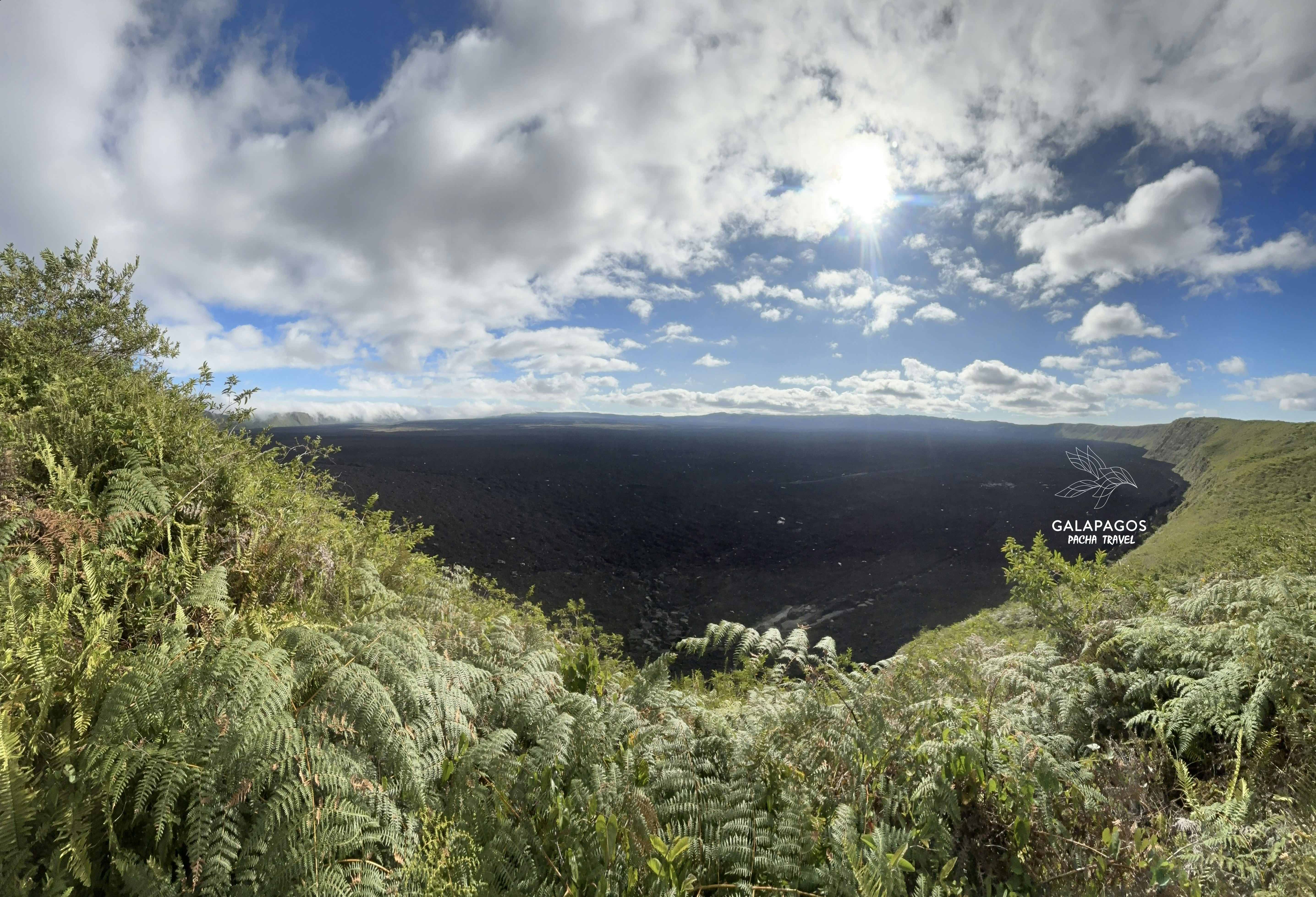 7 días / Santa Cruz y Estación Científica Charles Darwin, Isabela - imagen #22