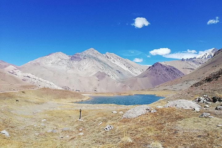 Full Day Trip to Aconcagua Park Argentina and Inca s Lagoon from Santiago - imagen #20