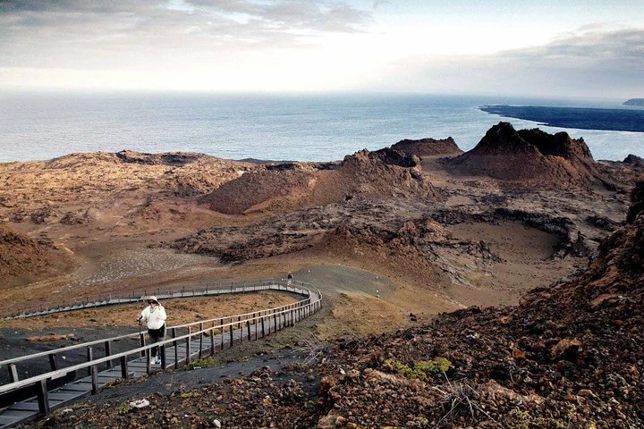 Excursión de día completo a la isla de Bartolomé y la bahía de Sullivan - imagen #4