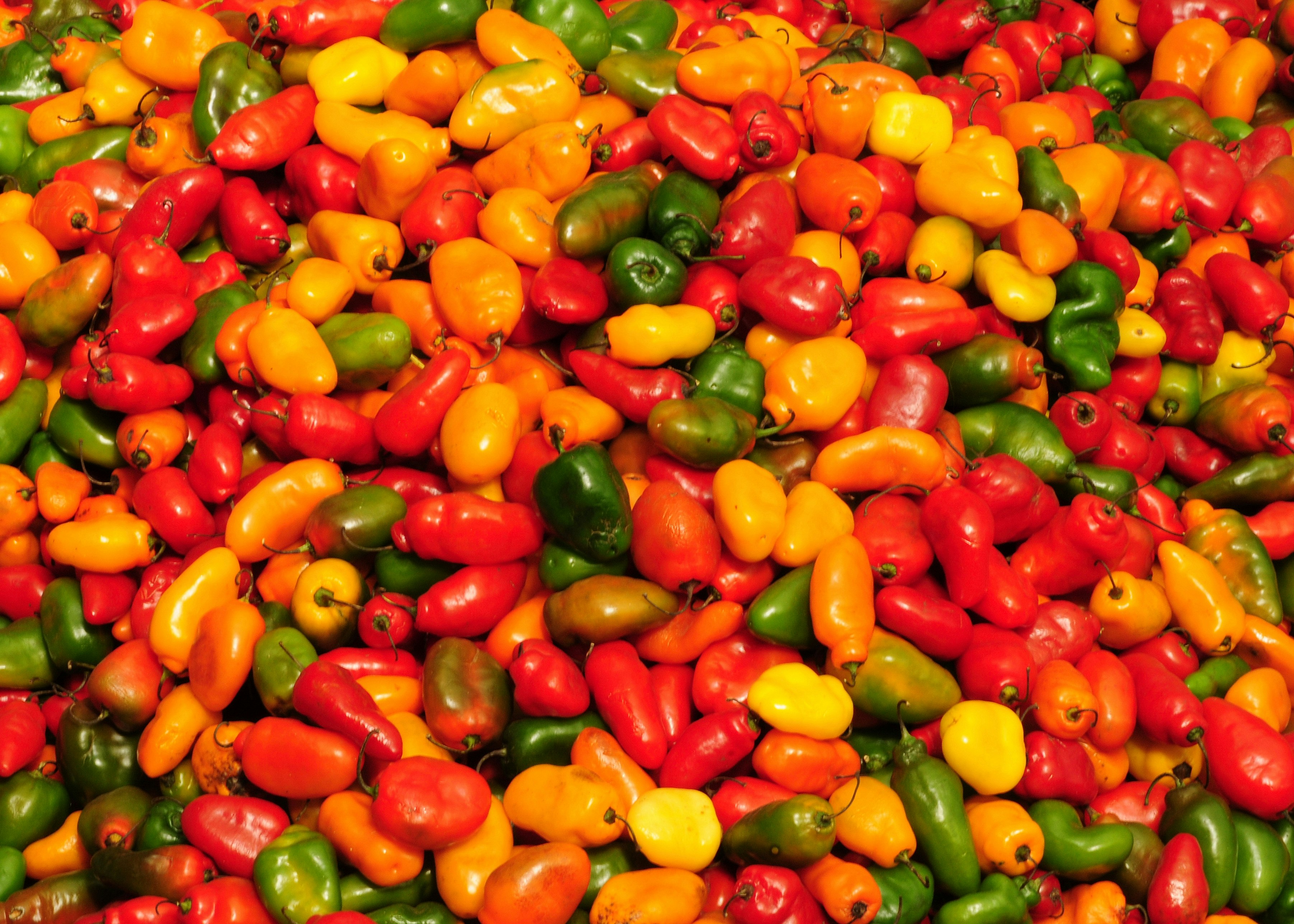 Traditional Culinary & Gastronomy Roots of Lima - imagen #7