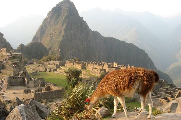 7-Day Peru, Inca Land wih Sunrise at Machu Picchu: Lima, Cusco, Sacred Valley - imagen #3