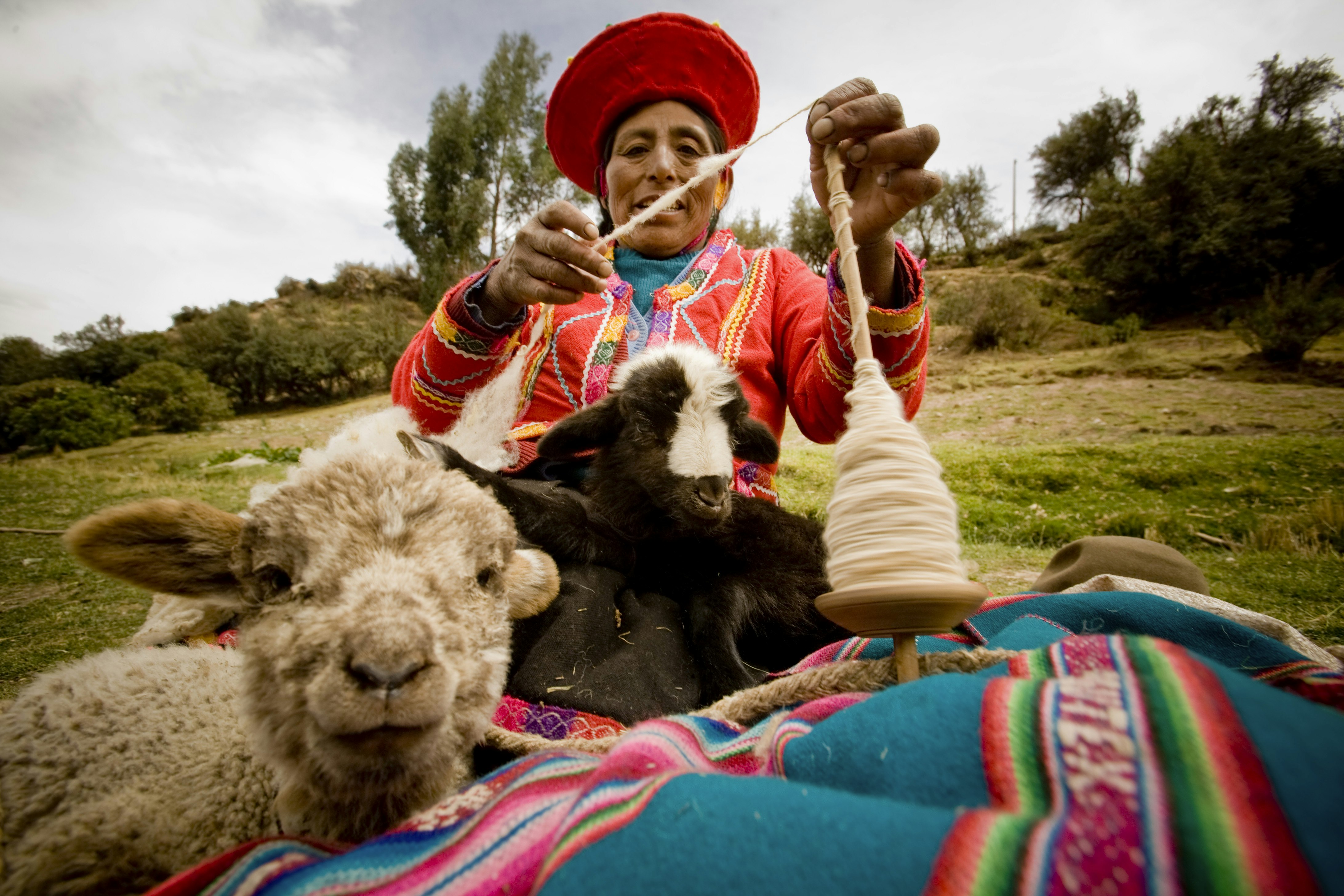 7-Day Peru Private Journey: Lima, Cusco, Sacred Valley & Machu Picchu - imagen #13