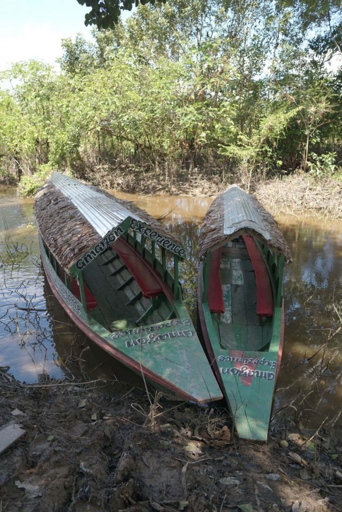 Cus-06 : Manu Rainforest Escape - 3 Days of Amazon Wildlife - imagen #8