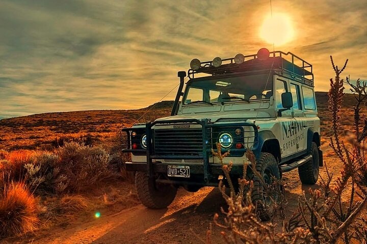 3-Day El Calafate Escape with Optional Airfare from Buenos Aires - imagen #13