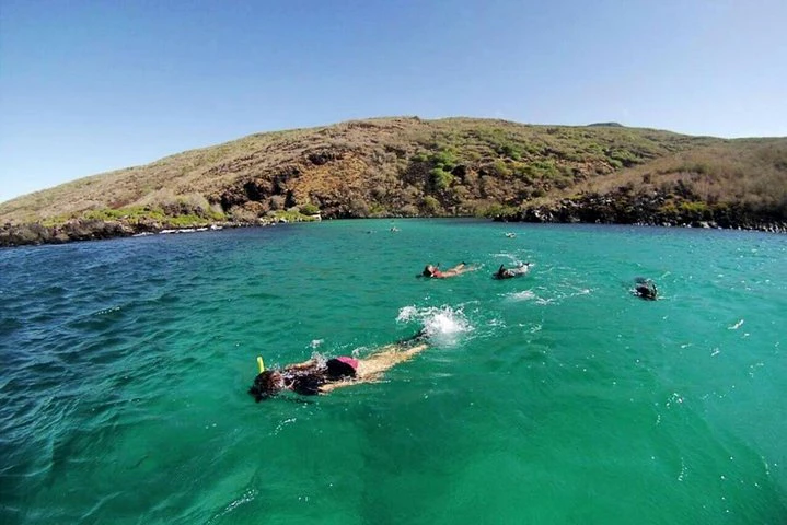 Full Day Santa Fe Playa escondida snorkeling tour - imagen #7