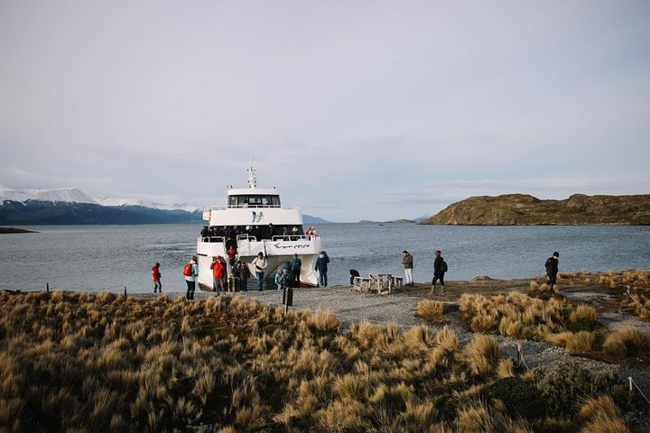 Navegación por el Canal Beagle con trekking en las Islas Bridges - imagen #6