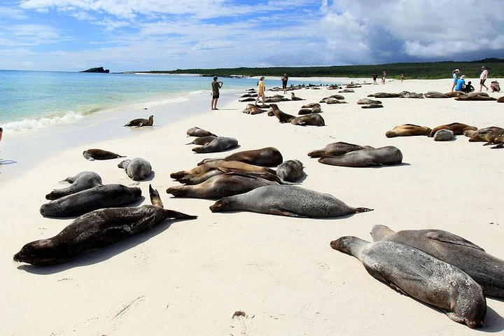 Aventura ecuatoriana: Quito - Islas Galápagos, 8 días y 7 noches - imagen #10