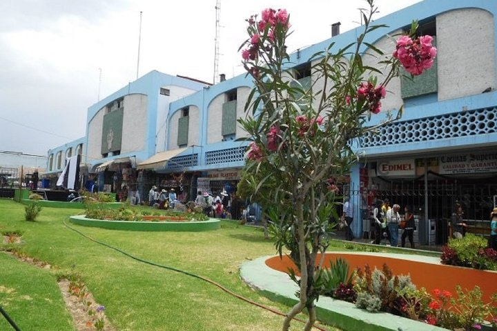San Camilo Market Walking Tour - imagen #3