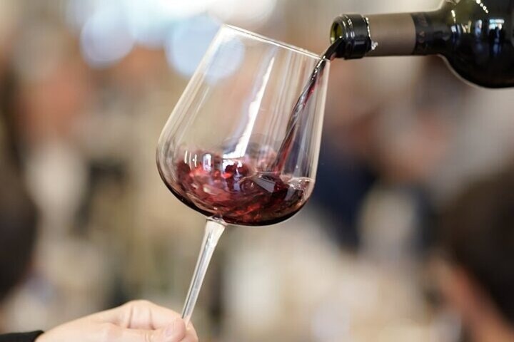 BA: Small group Argentinian Wines and Malbec Tasting in Palermo - imagen #17