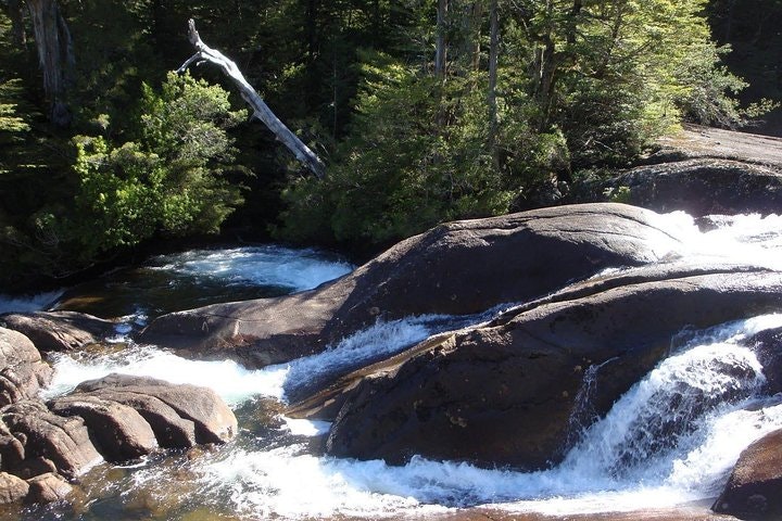 Puerto Blest Sightseeing Cruise and Waterfalls Hike from Bariloche - imagen #6