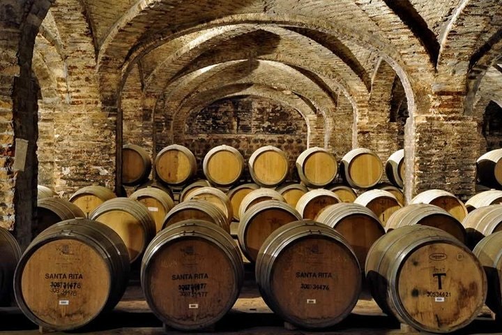 Half Day Trip to Santa Rita Vineyard from Santiago - Wine Tasting Included - imagen #2