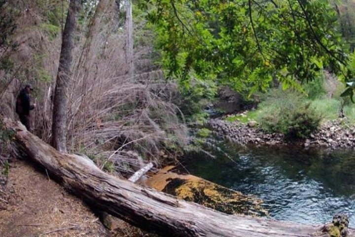 Bella Vista Trekking Tour with Transport from Bariloche - imagen #2
