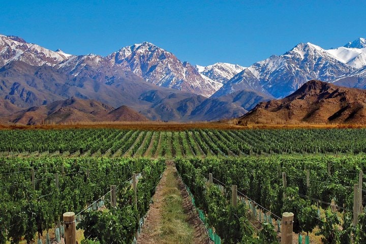 Private Wine Tasting and Vineyards Tour from Mendoza - imagen #2