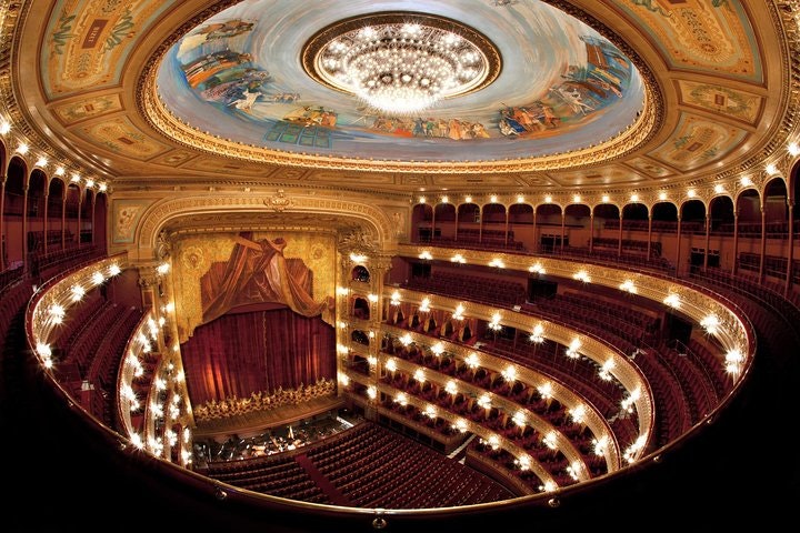 Buenos Aires Walking Tour Including Colon Theatre and MALBA Museum - imagen #5