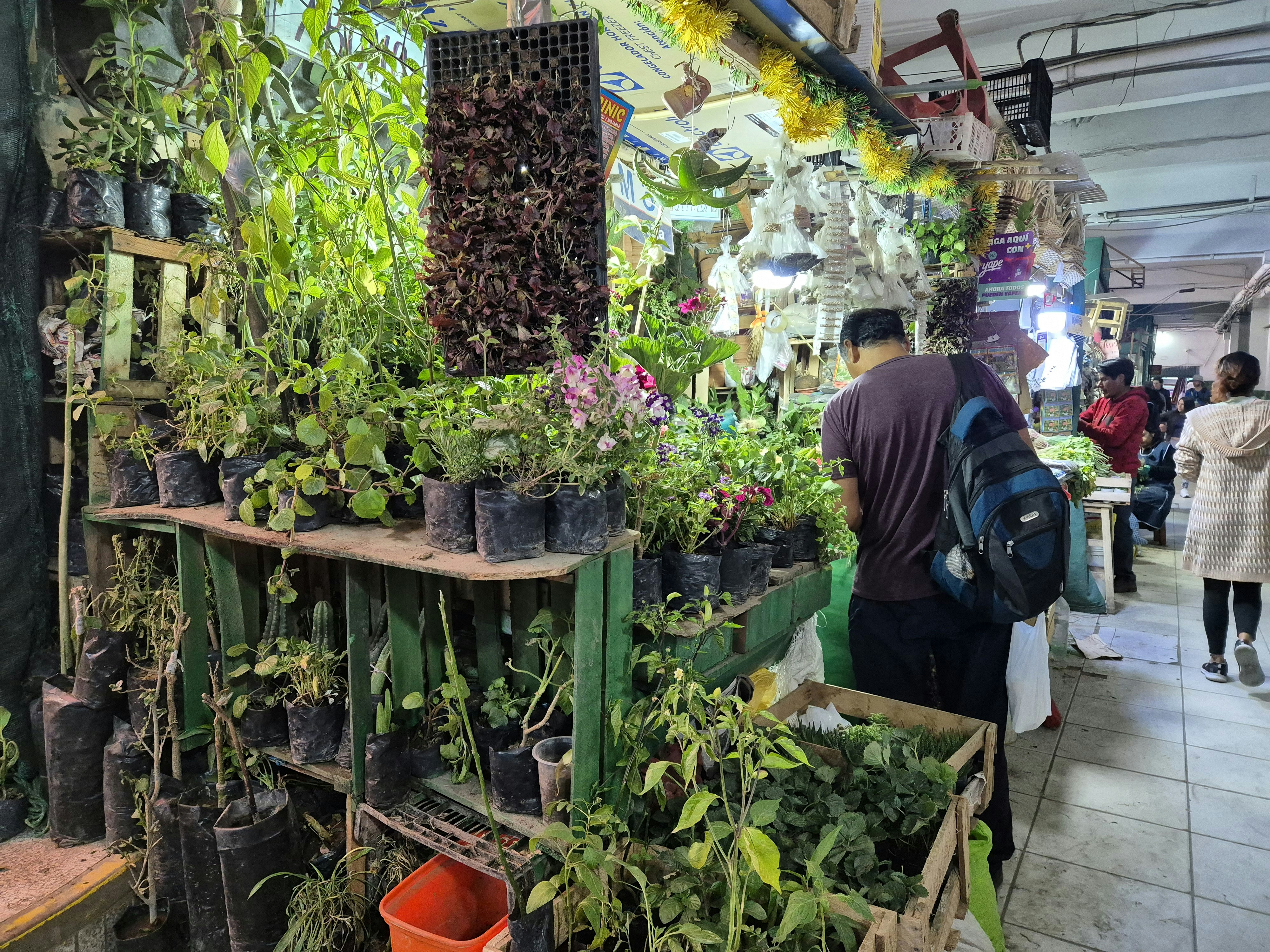 San Camilo Market Walking Tour - imagen #10