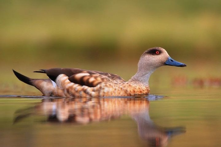 Full-Day Tour to Laguna de los Pozuelos from Tilcara - imagen #2