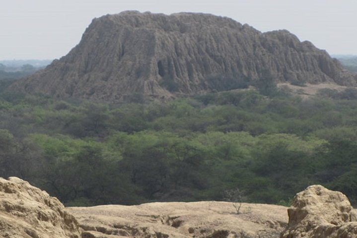 Santuario Histórico del Bosque de Pomac y Museo Sicán en Chiclayo - imagen #4