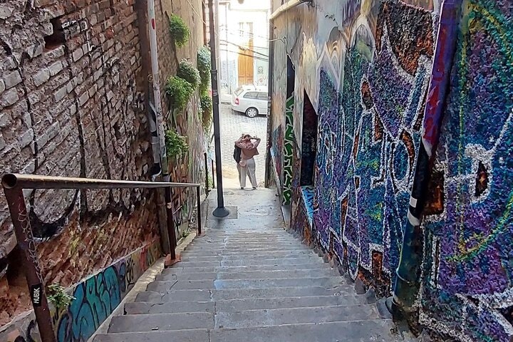 Private Full-Day Tour to Valparaiso Viña del Mar and Reñaca - imagen #3