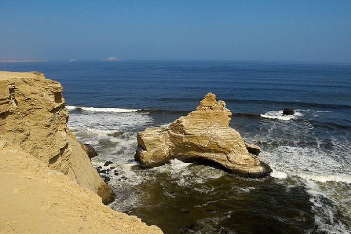 Paracas with Ballestas Islands Tour Package - imagen #3