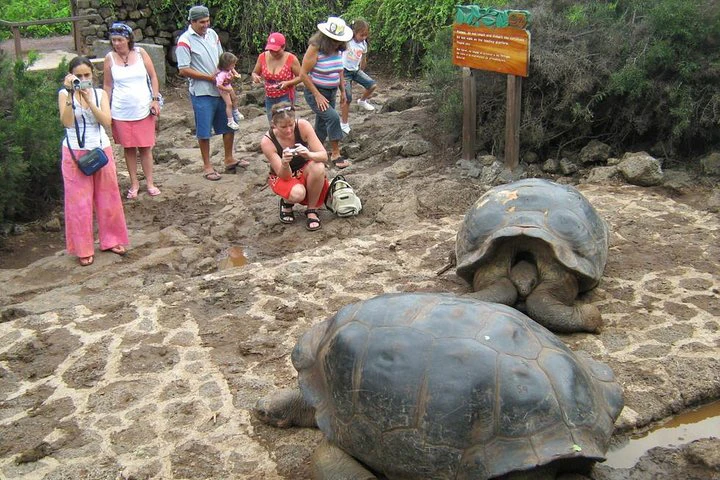 Aventura ecuatoriana: Quito - Islas Galápagos, 8 días y 7 noches - imagen #6