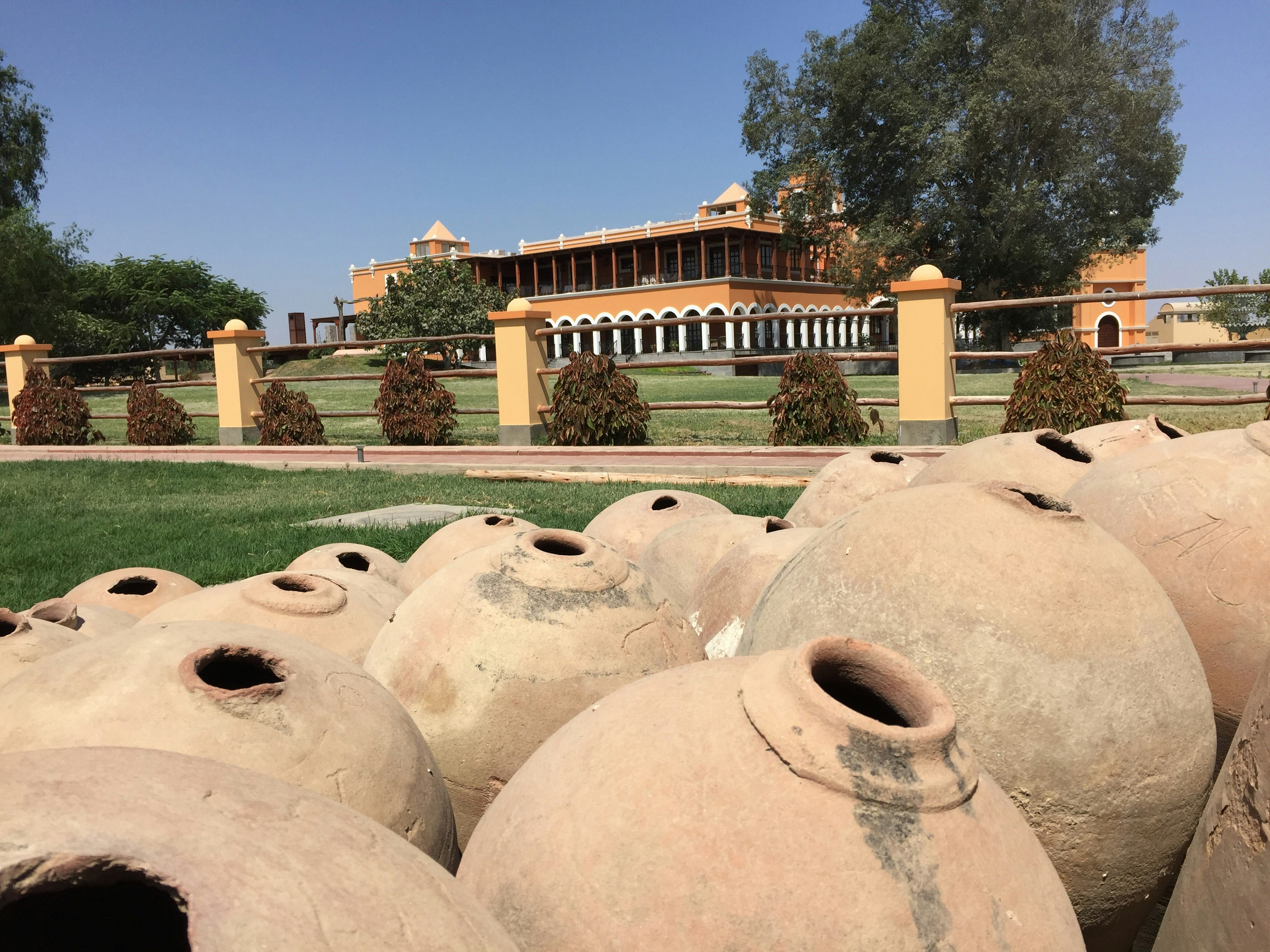 2-Day Pisco Tasting Journey in Ica with Viñas Queirolo Hotel Stay From Lima - imagen #14