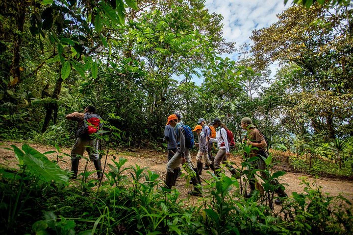 Excursión privada al bosque nuboso de Mindo desde Quito - imagen #3