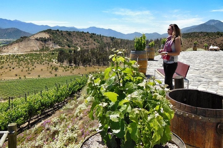 7-Days Unique Experience visiting the best Chilean & Argentinean Wine Valleys! - imagen #5