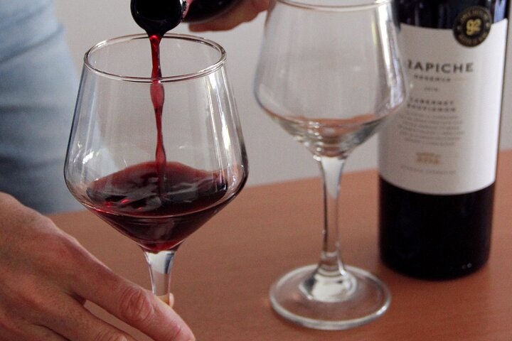 BA: Small group Argentinian Wines and Malbec Tasting in Palermo - imagen #3