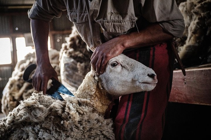Nibepo Aike Ranch Day and Horseback Riding from el Calafate - imagen #17