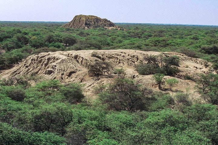Batan Grande Archeological Site and Sicán National Museum Tour from Chiclayo - imagen #9