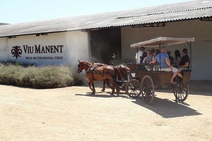 Full Day Guided Trip to Colchagua Valley - Visit to 2 Vineyards - imagen #6
