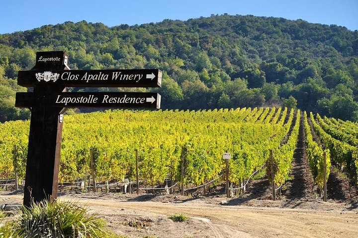 Full Day Guided Trip to Colchagua Valley - Visit to 2 Vineyards - imagen #2