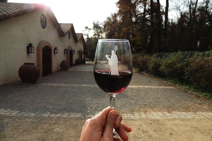 Small-Group Half Day Tour to Concha y Toro Winery - imagen #4