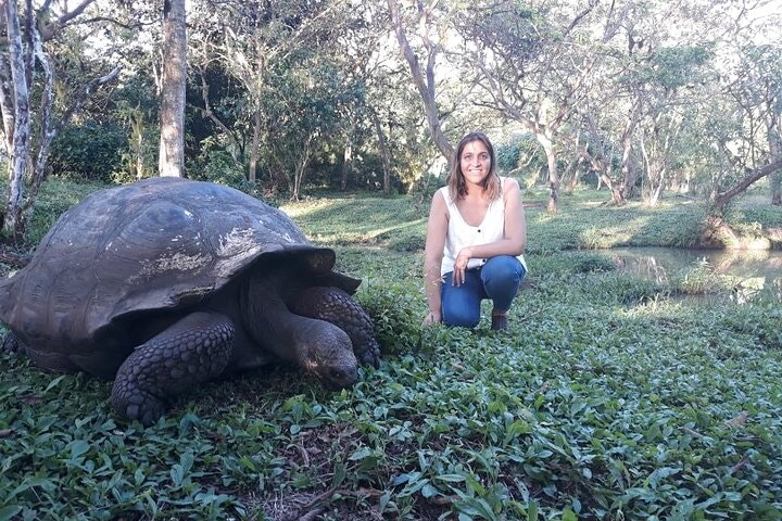 Transfer Airport-hotel in Galapagos Santa Cruz with visit to Giant Tortoises - imagen #5