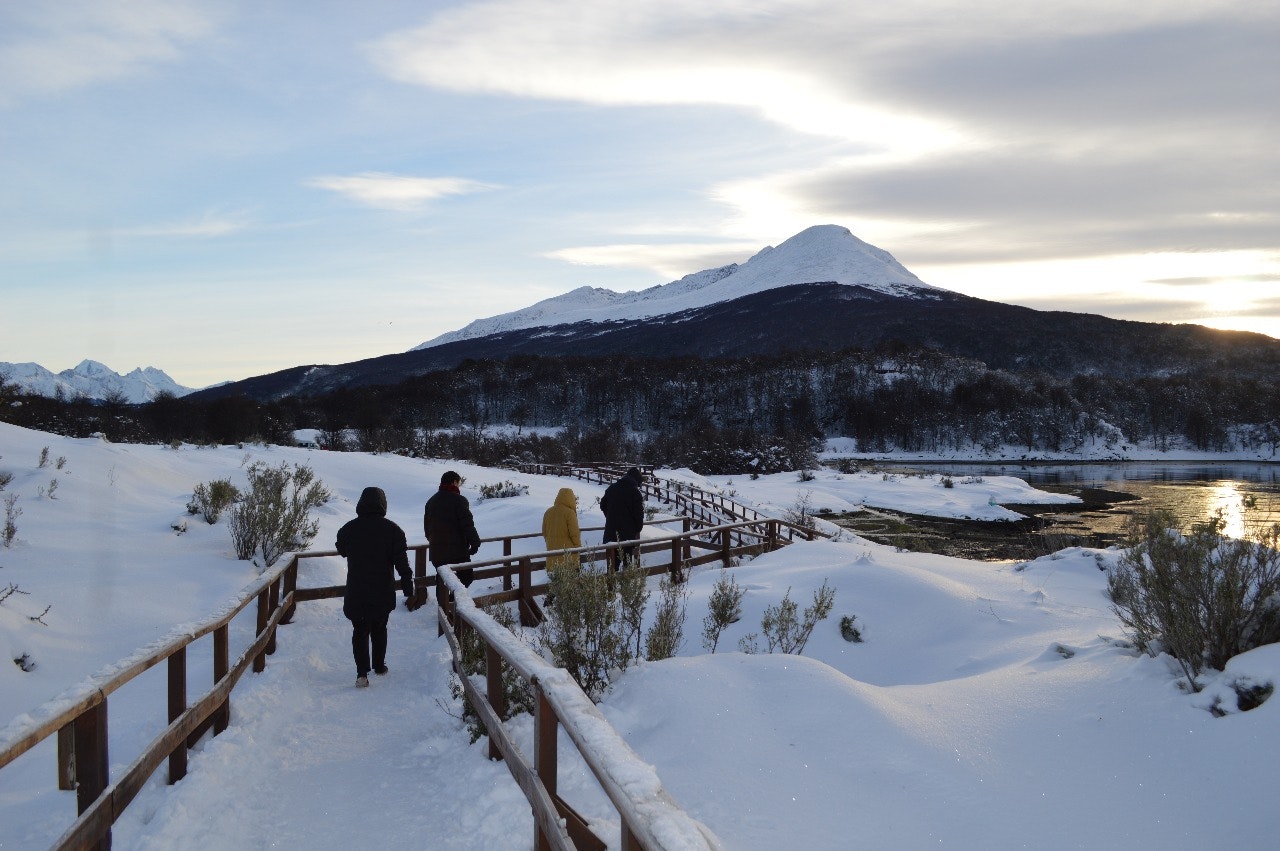 Half-Day Small-Group Tierra del Fuego National Park Tour - imagen #6