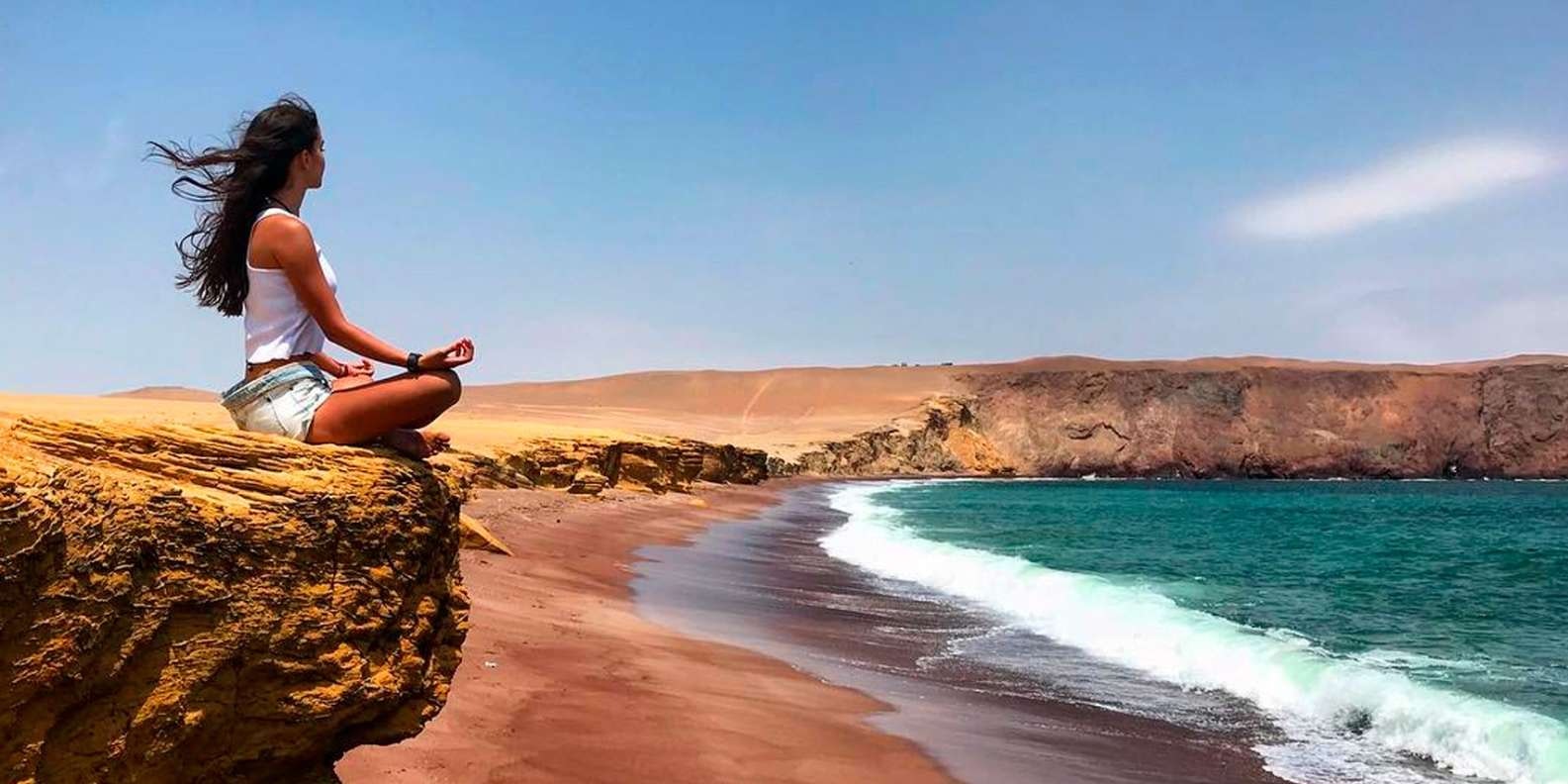 Par-02 : Ballestas Islands & Paracas Reserve - Full Day Escape - imagen #11