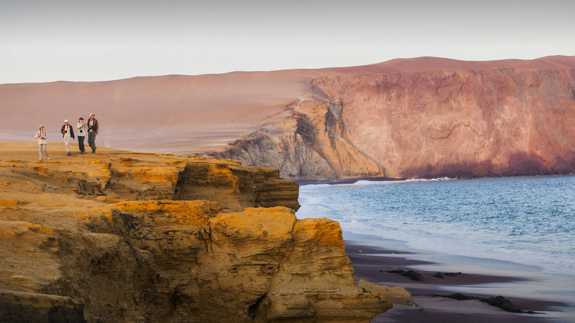 Par-02 : Ballestas Islands & Paracas Reserve - Full Day Escape - imagen #14