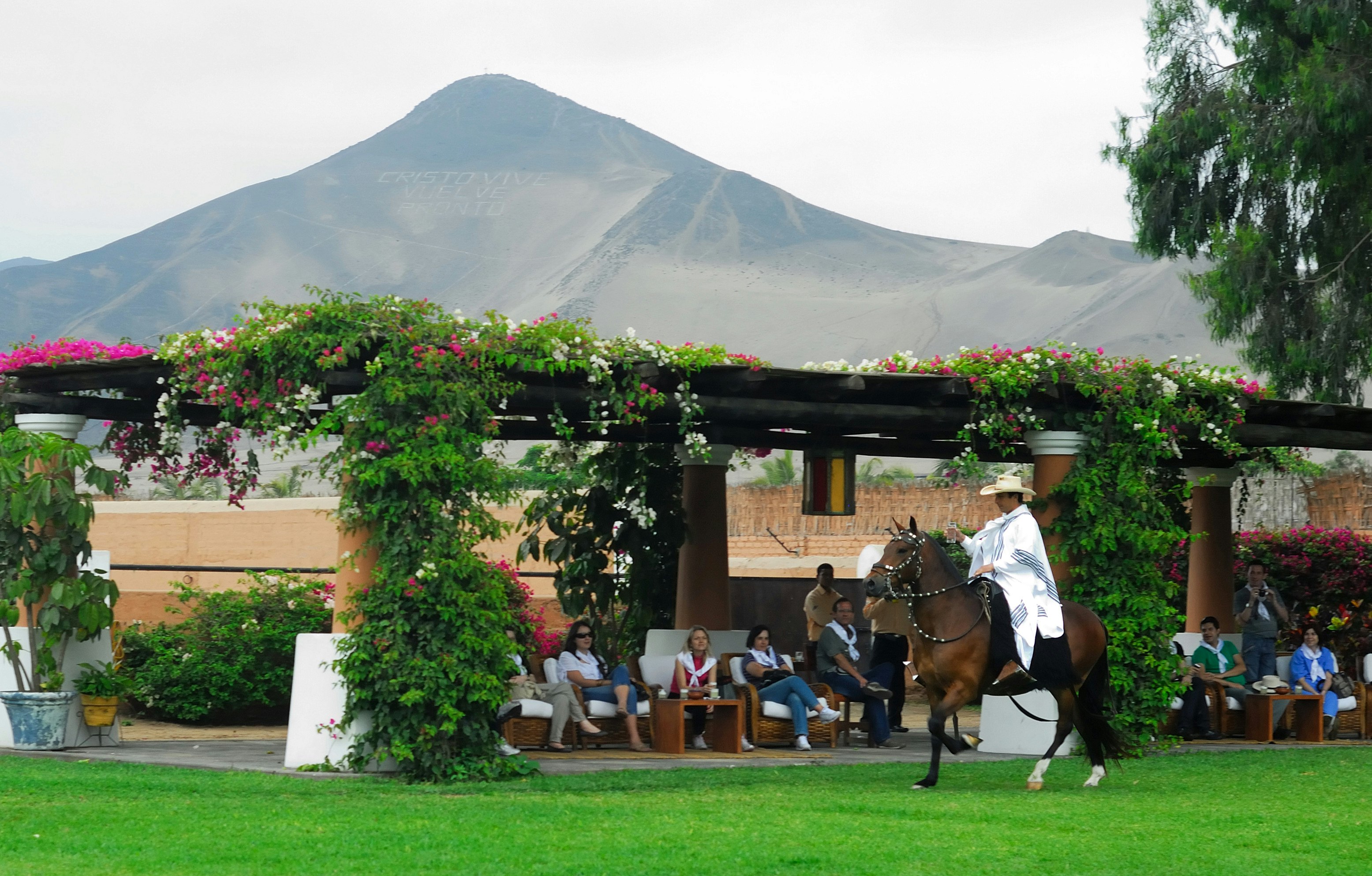 Pachacamac Temple, Peruvian Paso Horse & Artisan Store Private Tour from Lima - imagen #12