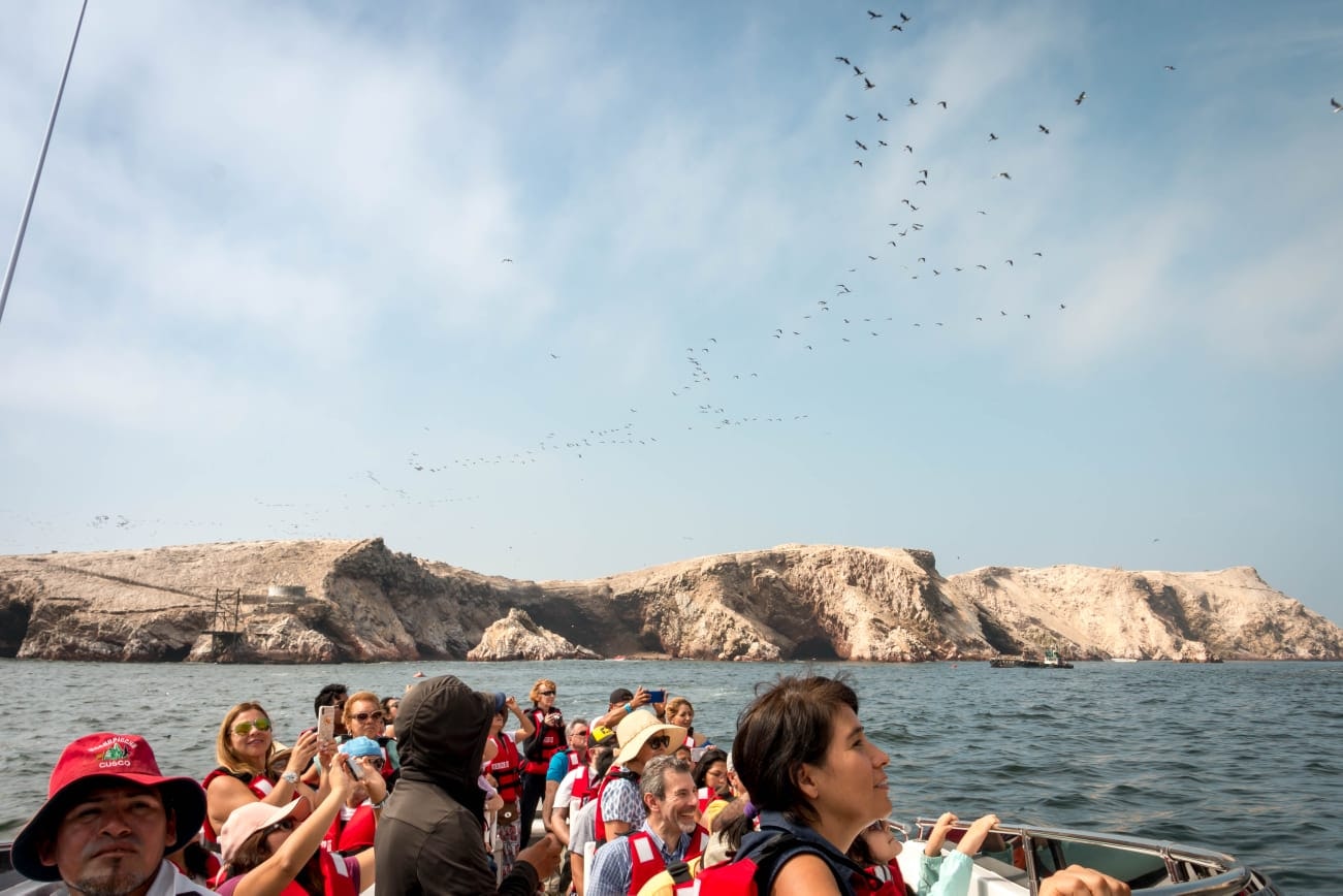 Ballestas Islands Sigthseeing Tour - imagen #8