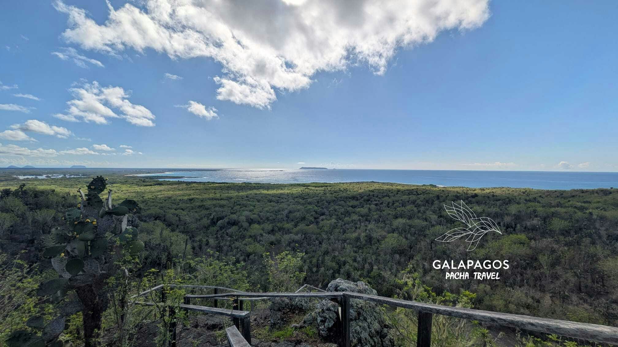 Bike or Hike Wetlands Wall of Tears & G.Tortoise Breeding Center - Isabela - imagen #2