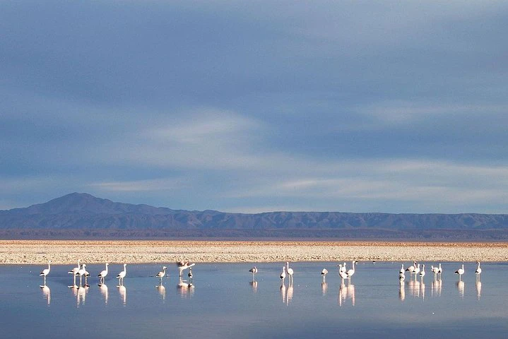 San Pedro de Atacama, Laguna de Chaxa and Toconao - Half day - imagen #2